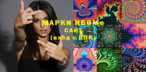 гашик Алексеевка