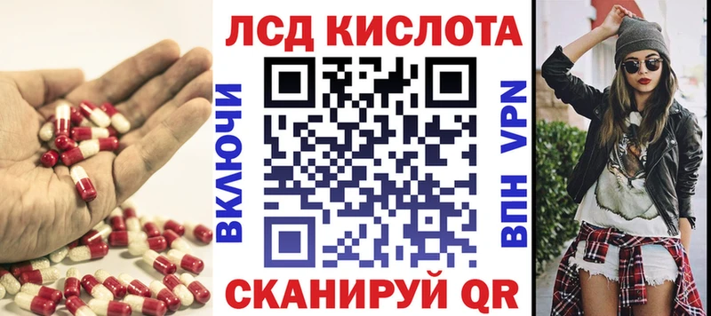 дарнет шоп  Алексин  Лсд 25 экстази кислота 