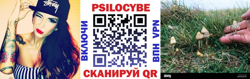 MEGA tor  Алексин  Галлюциногенные грибы прущие грибы 