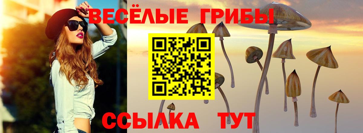 Псилоцибиновые грибы Psilocybine cubensis Алексин
