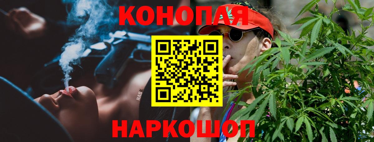 Бошки Шишки планчик Алексин